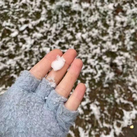 運氣不好剪頭髮|剪頭髮會不會影響財運 剪完頭髮運氣會變好麼｜方格子 vocu